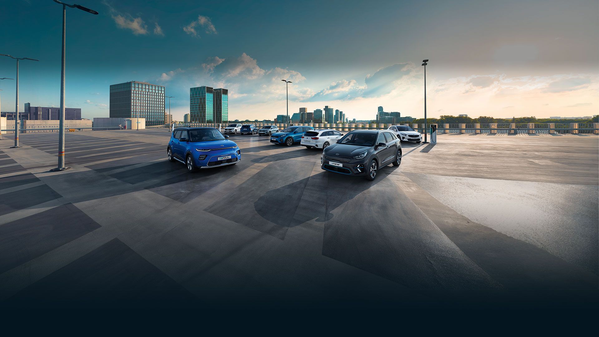 Discover Our Kia Range & Find A Dealer | Kia Motors Ireland