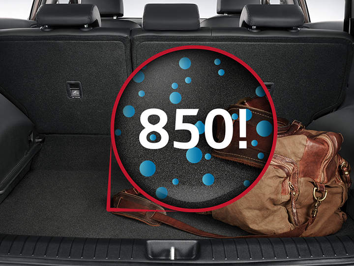 850 types of bacteria (approx.) in the vehicle boot 