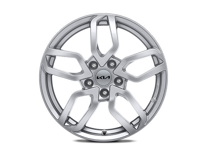 Alloy wheel 17" Goyang silver