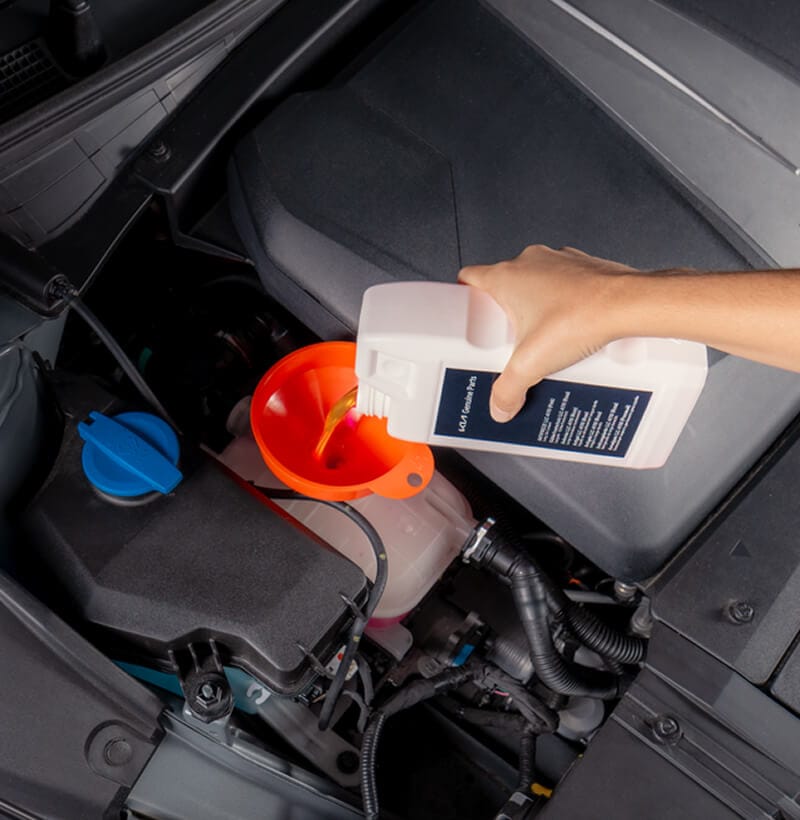 Kia Technician refills Kia Genuine EV Antifreeze in a vehicle.