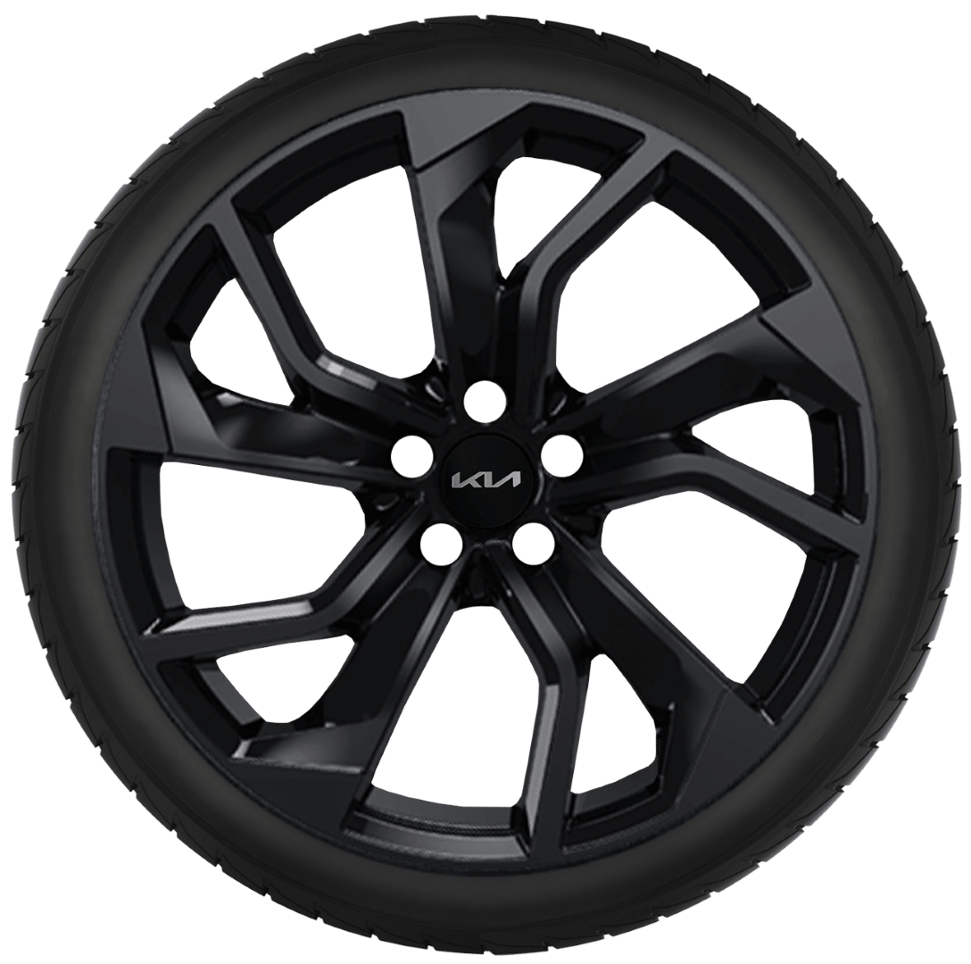 Winterwielen 21"