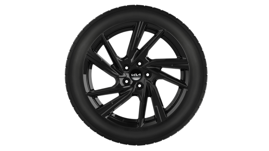 Winterwielen 19"