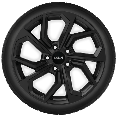 Winterwielen 19"