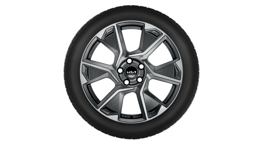 Winterwielen 19"