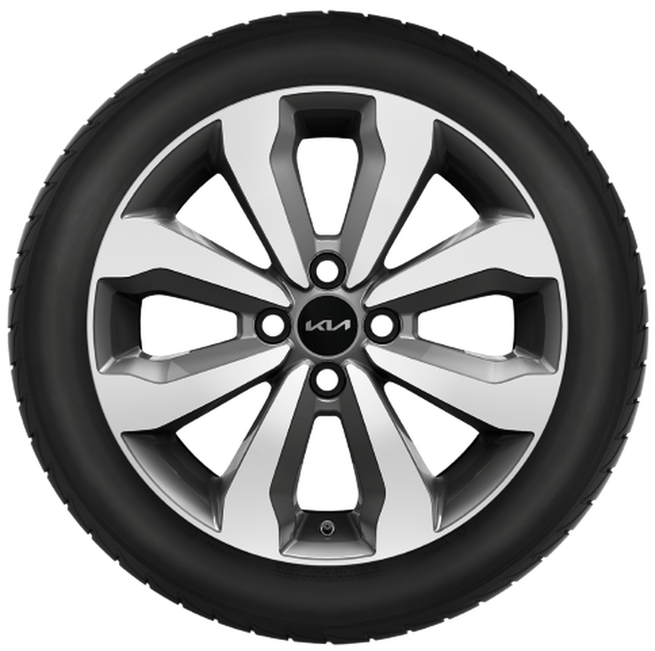 Winterwielen 16"