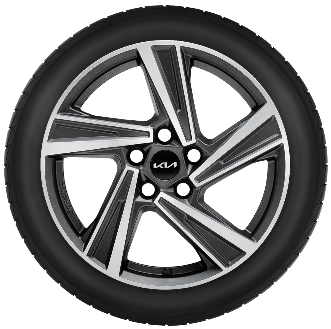Winterwielen 17"