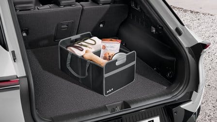 Organisateur de coffre, pliable