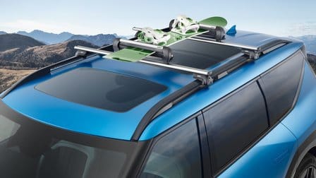 Ski- & Snowboardträger 400