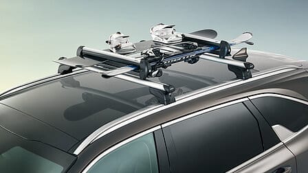 Ski- & Snowboardträger 600