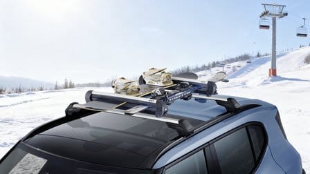 Ski- & Snowboardträger 600