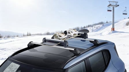 Ski- & Snowboardträger 400
