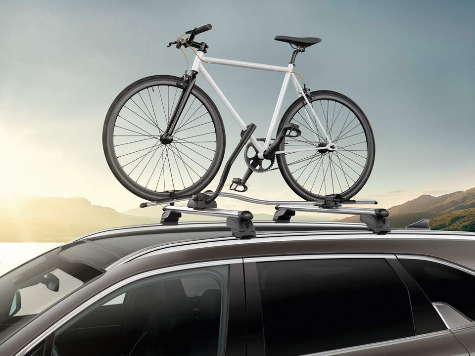 Fahrrad auf Fahrradträger / Fahrzeugdach