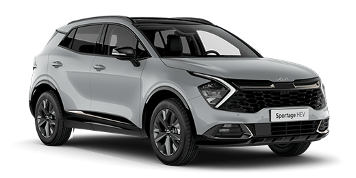 Anniversary Edition Hybrid