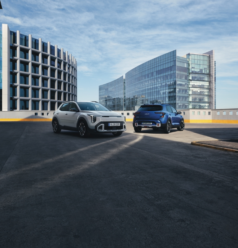 nuova  promo novembre