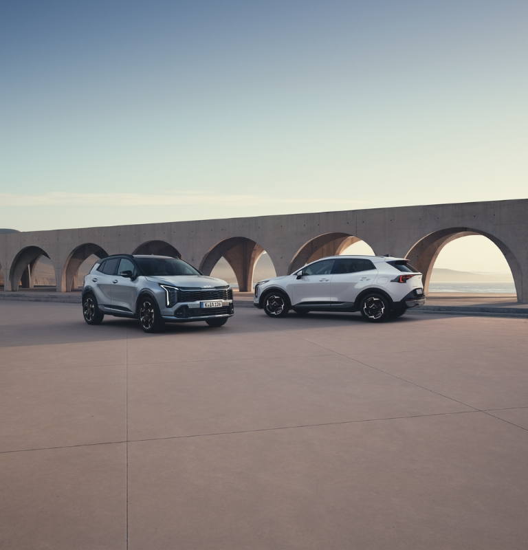 nuova promo novembre