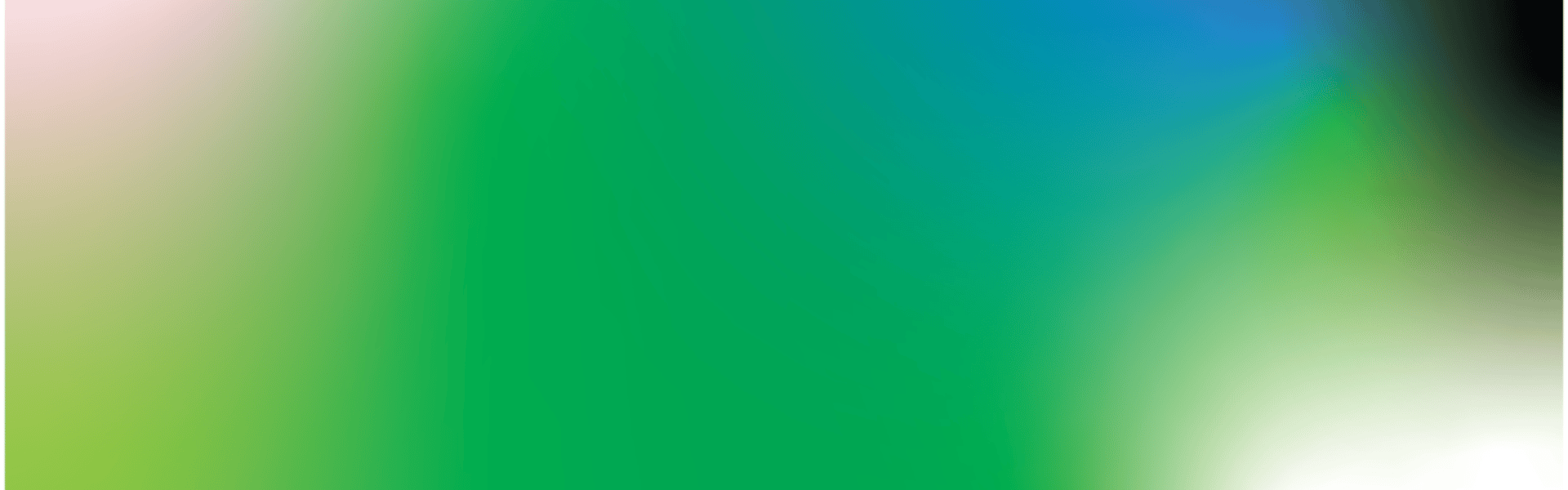 Curvy road in a forest.