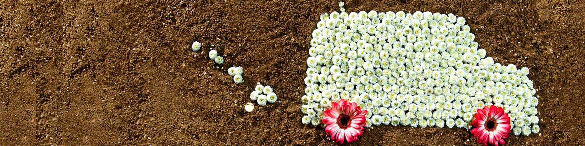 Op weg naar de circulaire auto
