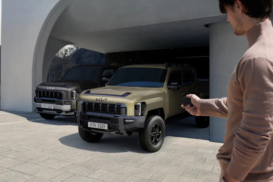 Remote Smart Park Assist