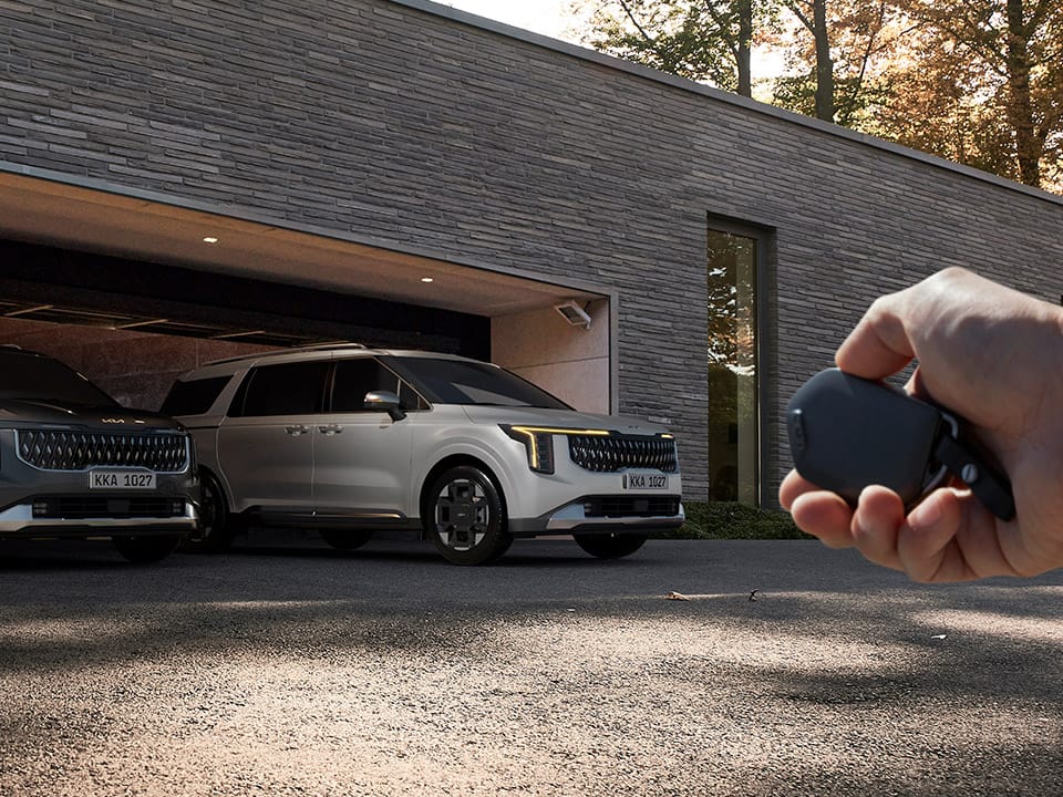 Remote Smart Parking Assist