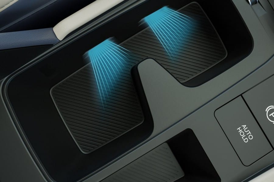 Front Cup Holder Warmer & Cooler, Illuminated