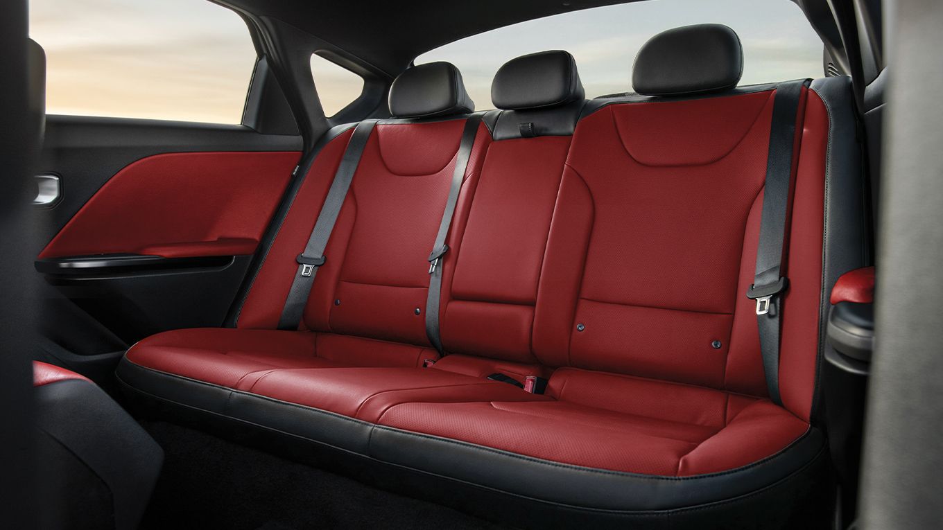 Extraordinario confort