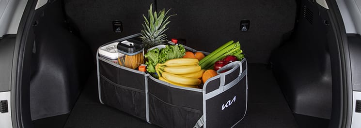 Organizador de cajuela