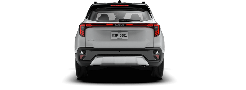 Snow White Pearl + Black Roof