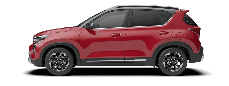 Vivid Red + Aurora Black Pearl 