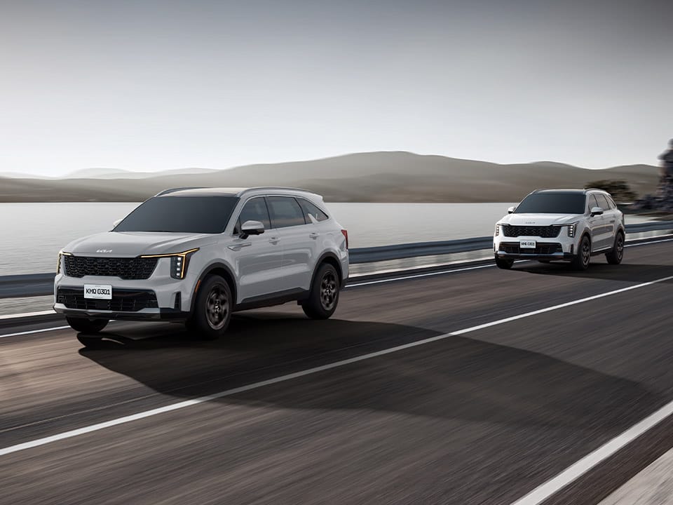 Control de crucero inteligente con función Stop & Go (SCC)