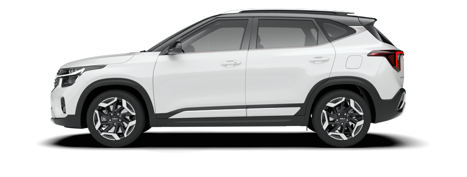 Snow white pearl + Black roof		