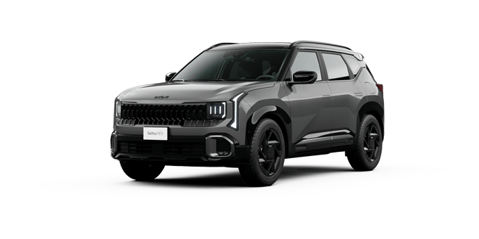 Kia Seltos Hibrida Steel Gray