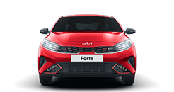 msg_vehicle_forte-sedan