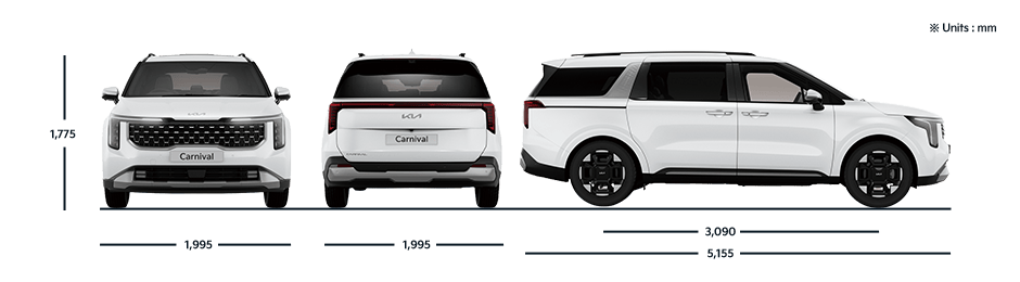 Carnival PE All View