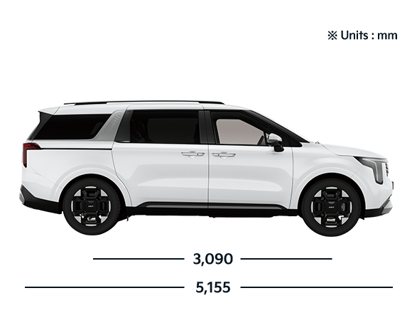 Carnival PE Side View