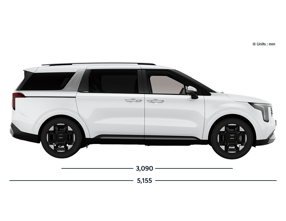 Carnival PE Side View