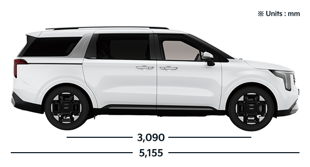 Carnival PE Side View