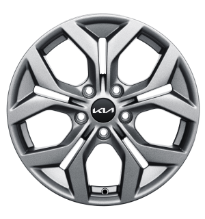 17” Alloy wheel (LX & EX)