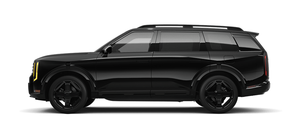 Ebony Black