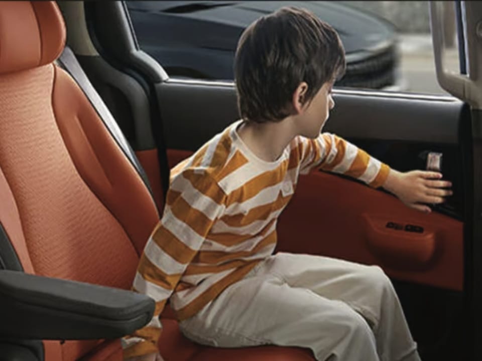 Safe Exit Assist (SEA)