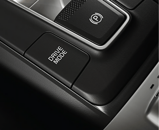 Carnival รถ MPV รถยนต์ครอบครัว 7 ที่นั่ง และ รถ 11 ที่นั่ง