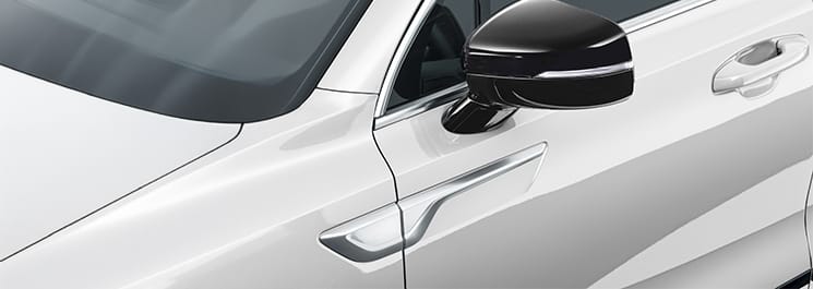 Накладки на дзеркала чорні (2)