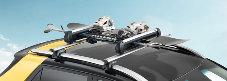 Багажник для лиж 600