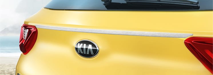 Молдинг на двері багажного відділення (матовий)	