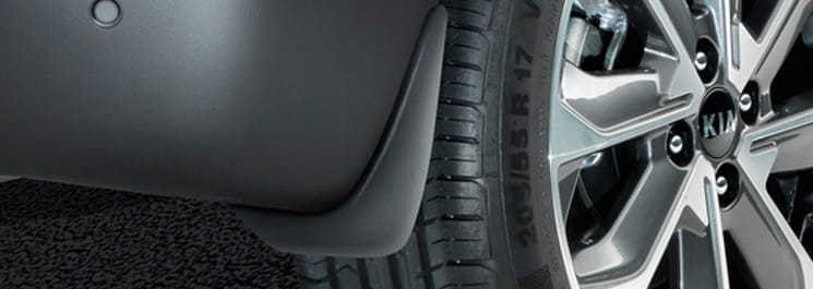 Бризговики (задні, 2шт.)	