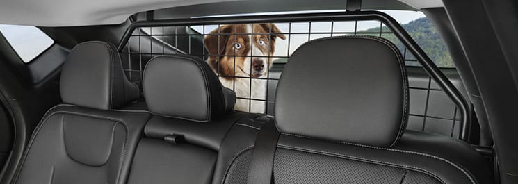 Сітка-багажного-відділення