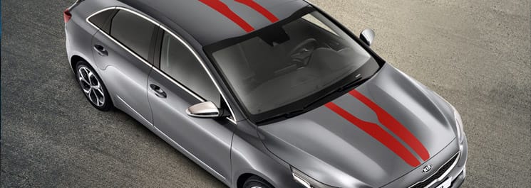 Гоночні смуги