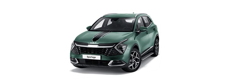 Наклейка на кузов чорна (спортивні стрічки)