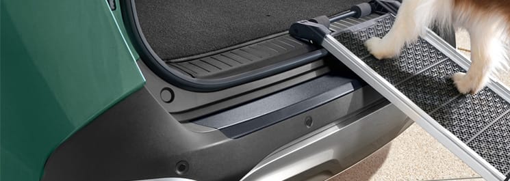 Захисна плівка заднього бамперу (чорна)