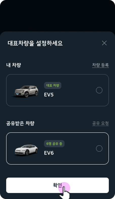 대표 차량으로 설정