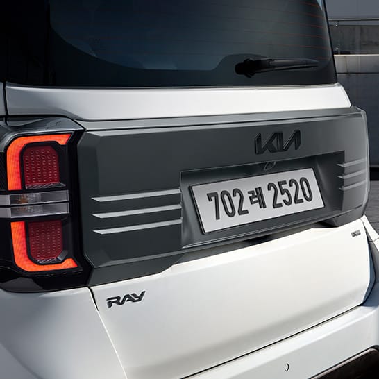 다크메탈 테일게이트 가니쉬, 블랙 엠블럼